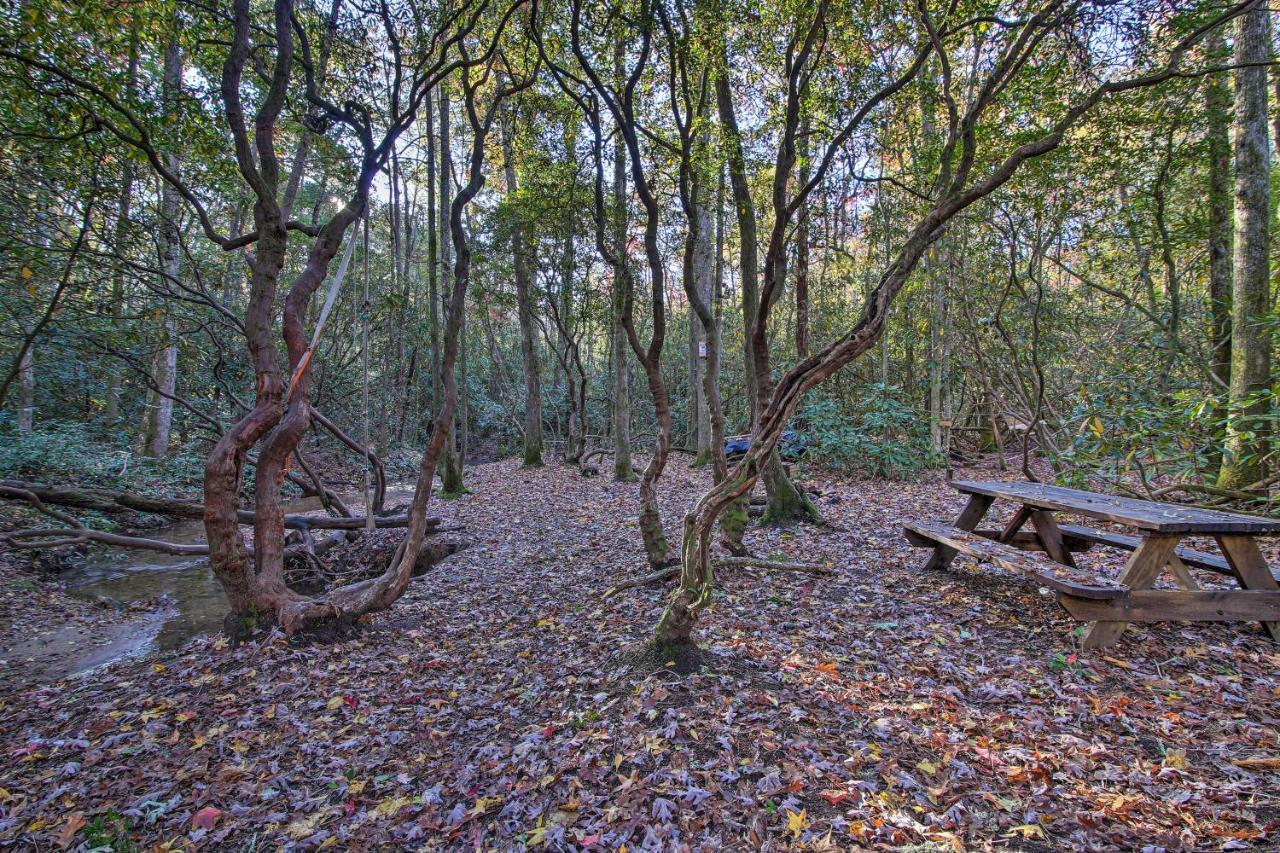 Vila 5-Acre North Georgia Mountain Retreat With Creek! Sautee Nacoochee Exteriér fotografie